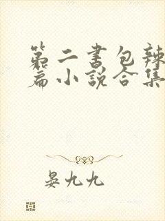 第二书包辣网短篇小说合集