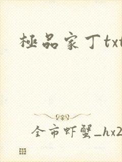 极品家丁txt