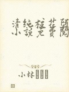 清纯校花堕落记小说免费阅读