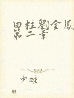田柱刘金凤小说第二章