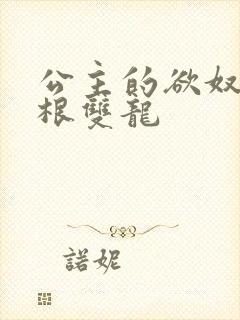 公主的欲奴h四根双龙