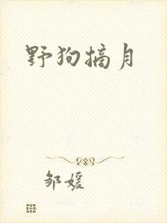 野狗摘月