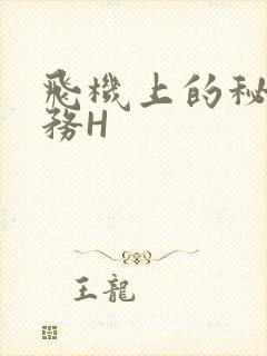 飞机上的秘密服务H