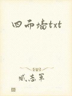 四面墙txt