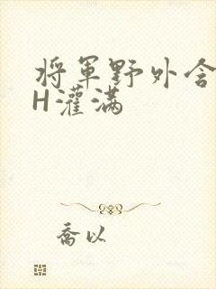 将军野外含公主H灌满