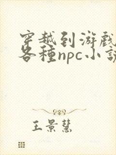 穿越到游戏里和各种npc小说