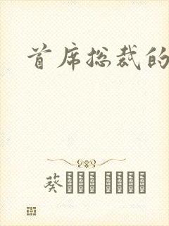 首席总裁的逃妻