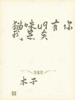 猫咪u9有你有我足矣
