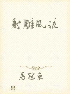 射雕风流