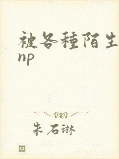 被各种陌生人 np