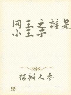 网王之谁是我的小王子