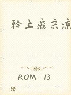 干上瘾宋凉向周