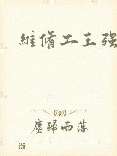 维修工王强张婷