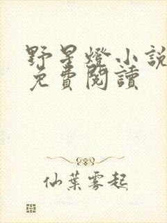 野星灯小说全文免费阅读