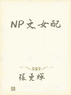 NP文女配