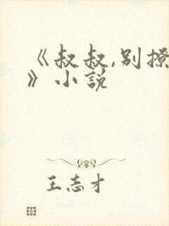 《叔叔,别撩我》小说