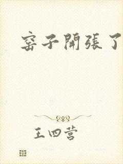 窑子开张了封面