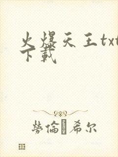 火爆天王txt下载