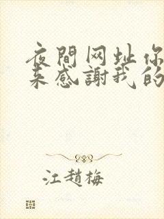 夜间网址你会回来感谢我的