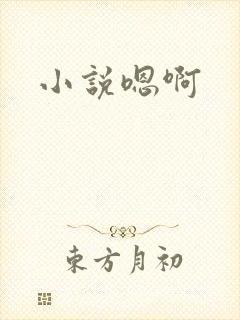 《小说嗯啊》小说封面