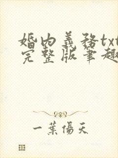 婚内义务txt完整版笔趣阁