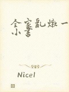 全家乱炖一锅烩小书