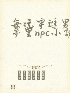 每晚穿进男神的梦里npc小说