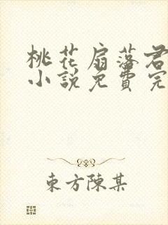 桃花扇落君不还小说免费完整版