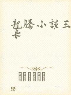 龙腾小说三宝局长