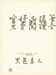 官婿凶猛笔趣阁免费阅读全文封面