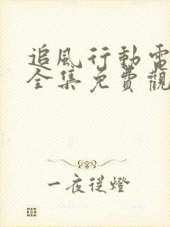 追风行动电视剧全集免费观看