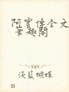 阿宾传全文阅读 笔趣阁