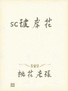 sc彼岸花