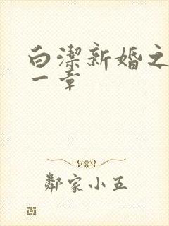 白洁新婚之夜第一章