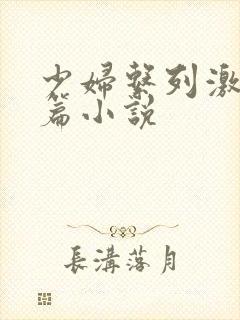 少妇系列激情短篇小说