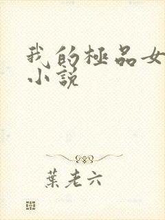 我的极品女老师小说