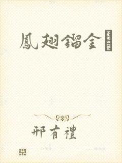 《凤翅镏金镋》小说封面