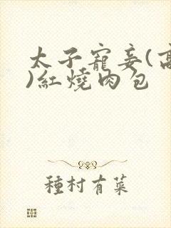 太子宠妾(高肉)红烧肉包