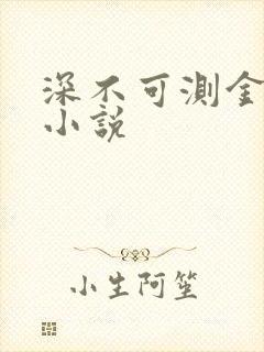 深不可测金银花小说
