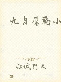 九月鹰飞小说