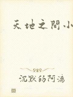 天地之间小说