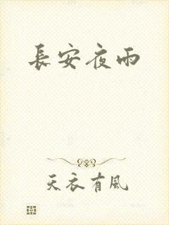长安夜雨