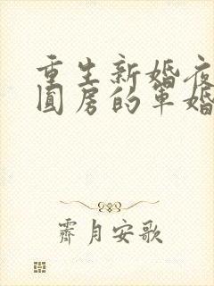 重生新婚夜正在圆房的军婚