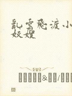 乱云飞渡小说之姣嫂