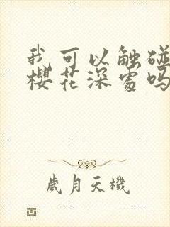 我可以触碰你的樱花深处吗