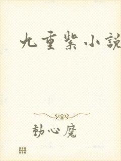 九重紫小说