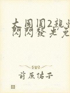 大团圆2亲情会闪闪发光免费