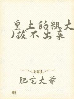 皇上的粗大(h)拔不出来