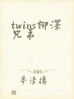 twins柳泽兄弟