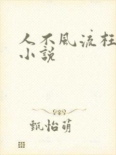 人不风流枉少年小说